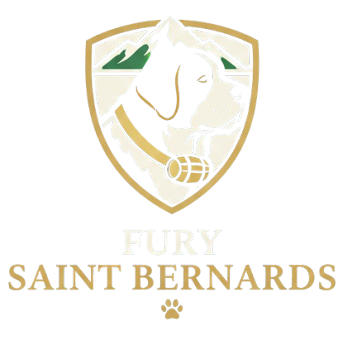 Fury Saint Bernards